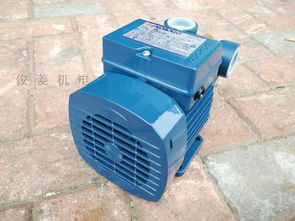 高效節能，卓越耐用 PQM60抽油泵的卓越性能解析